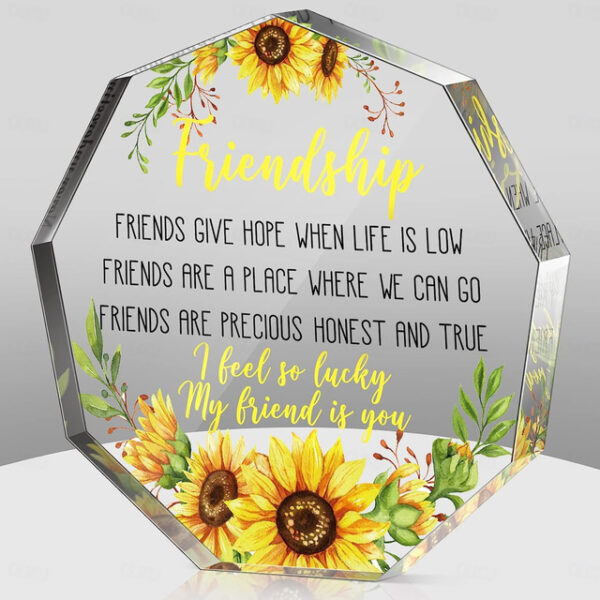 Acrylic Gifts For Friends, Friendship Gifts For Women, Birthday Gifts For Friends, Farewell Gifts, Plaque For Colleagues, Retirement Gifts, Acrylic He